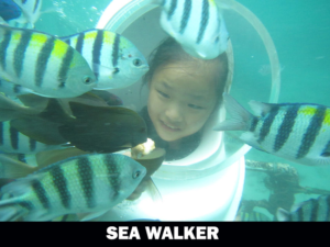 sea-walker-300x225
